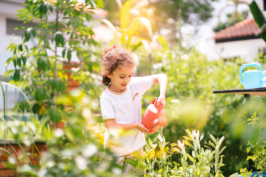 Students are encouraged to play an active role in co-managing the eco-garden with over a 100 varieties of plants, vegetables and flowers.